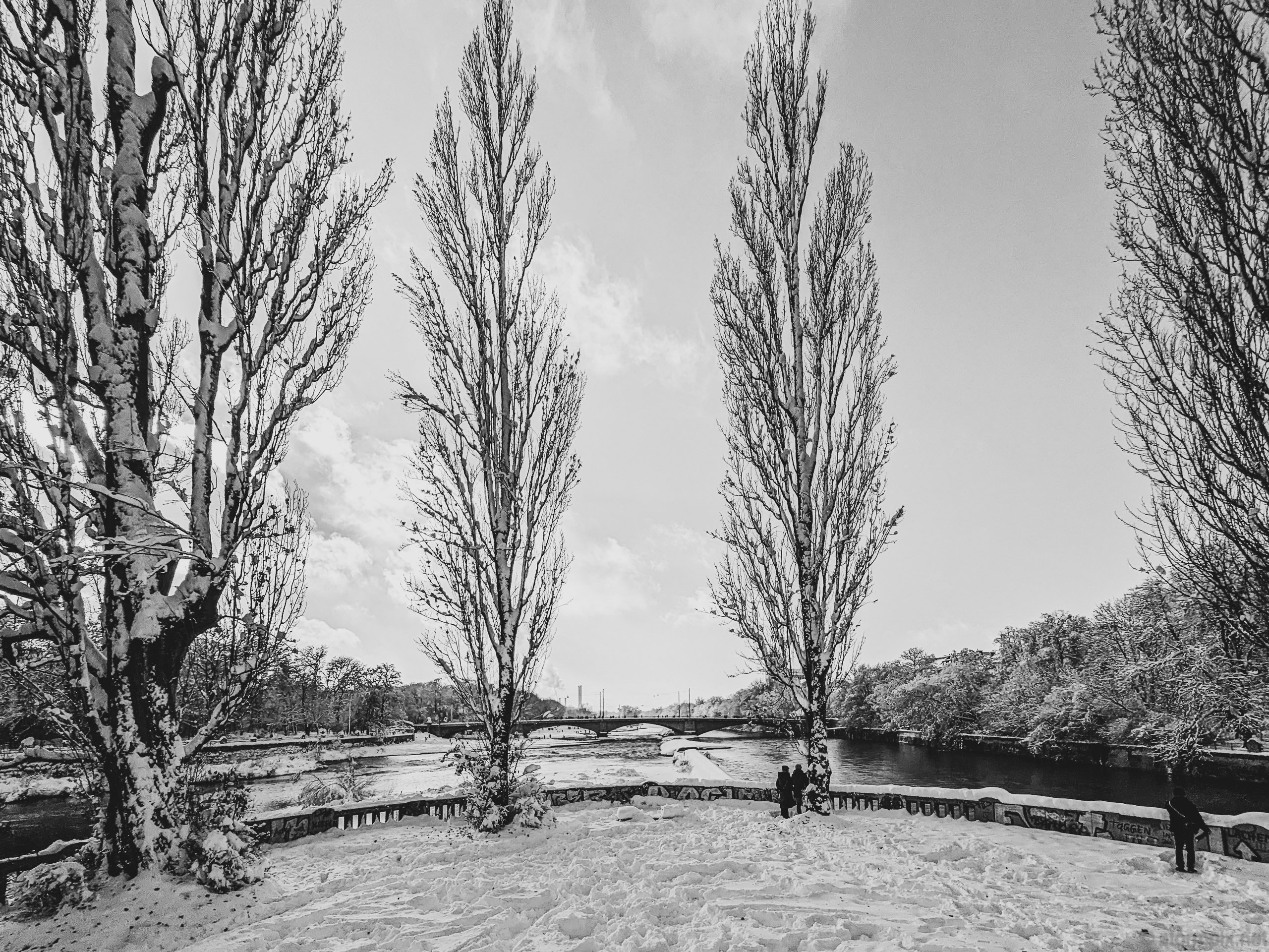 Pxl 20231203 120504328