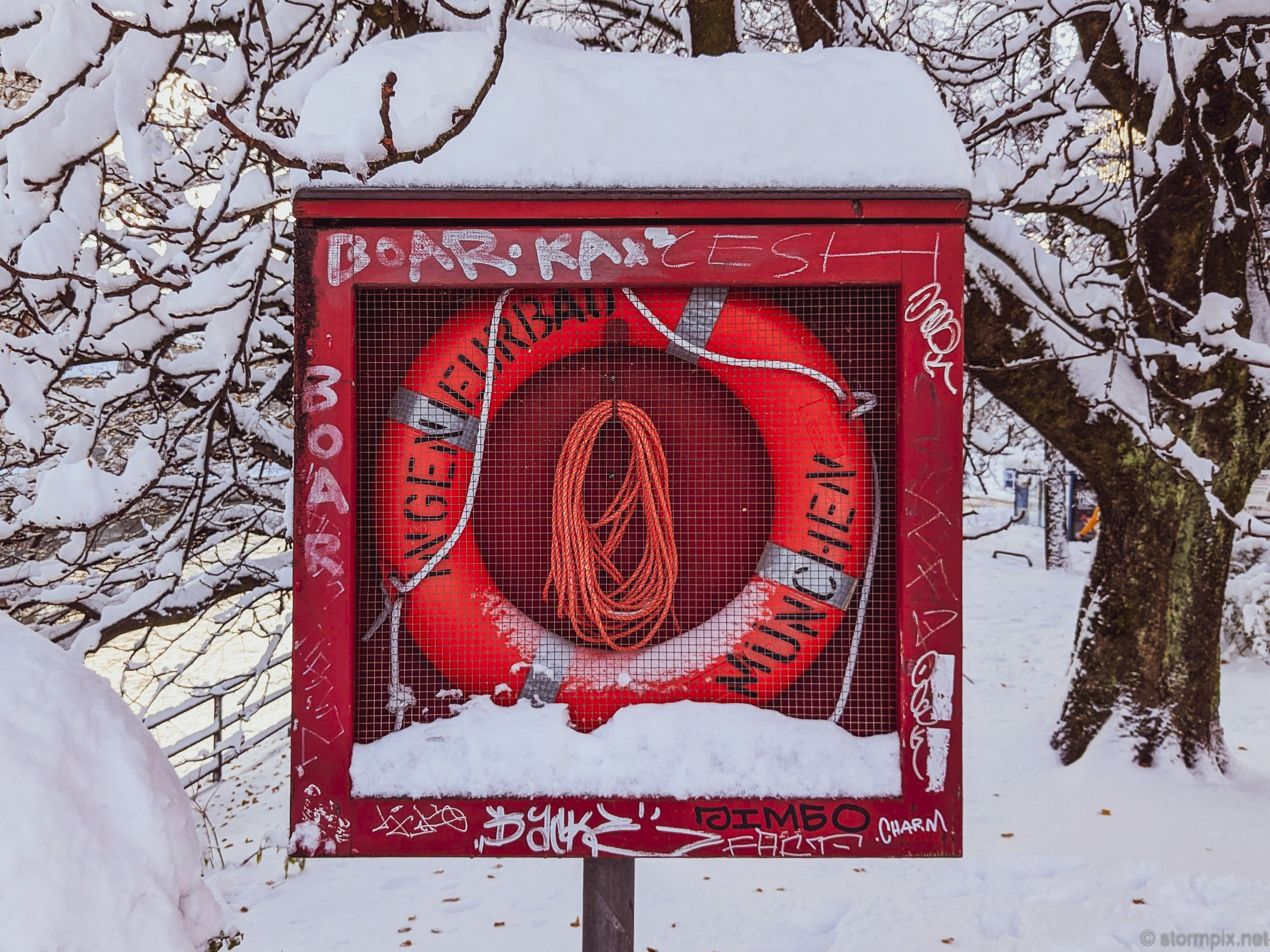 Pxl 20231203 121259466