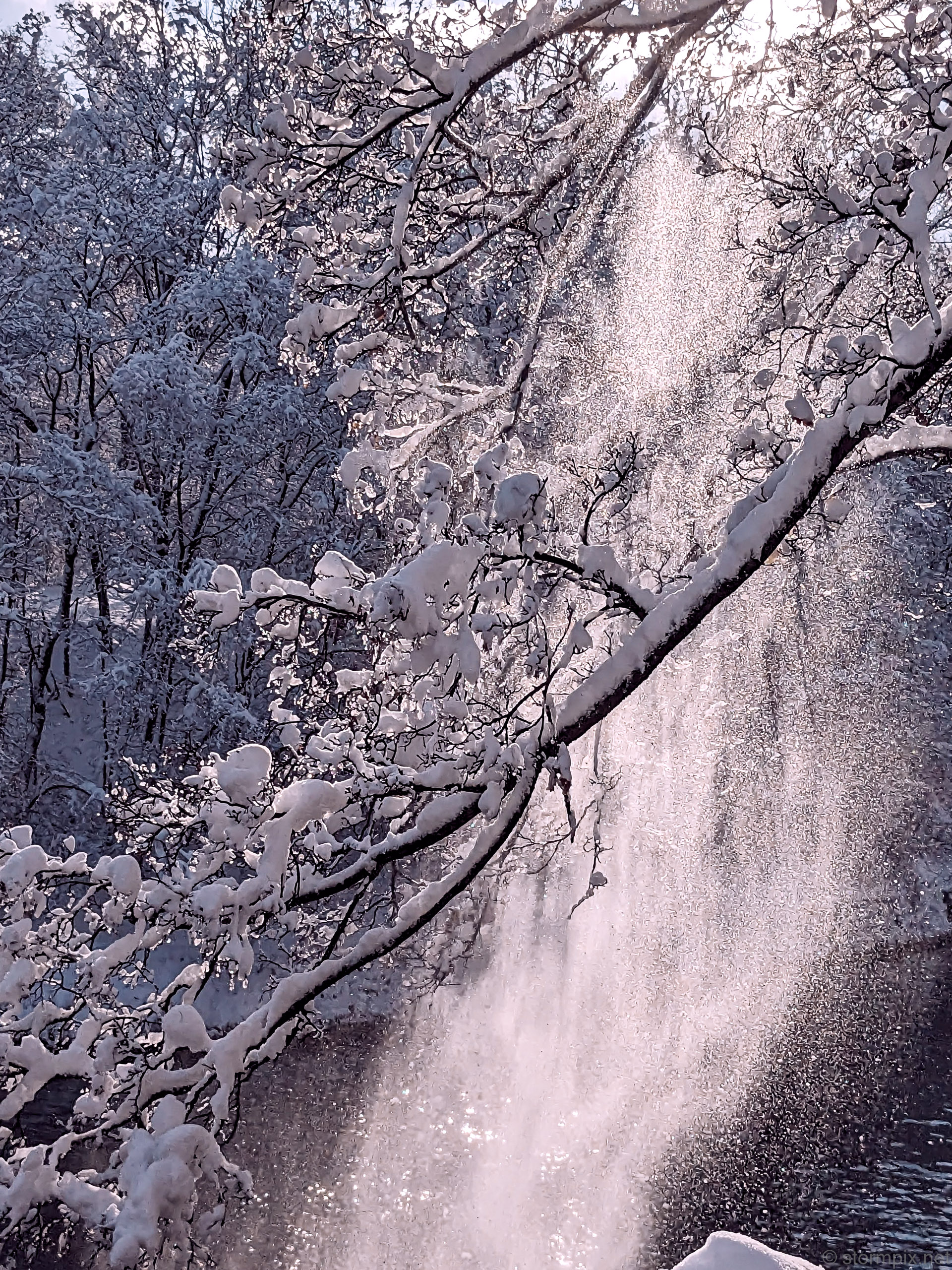 Pxl 20231203 123318276