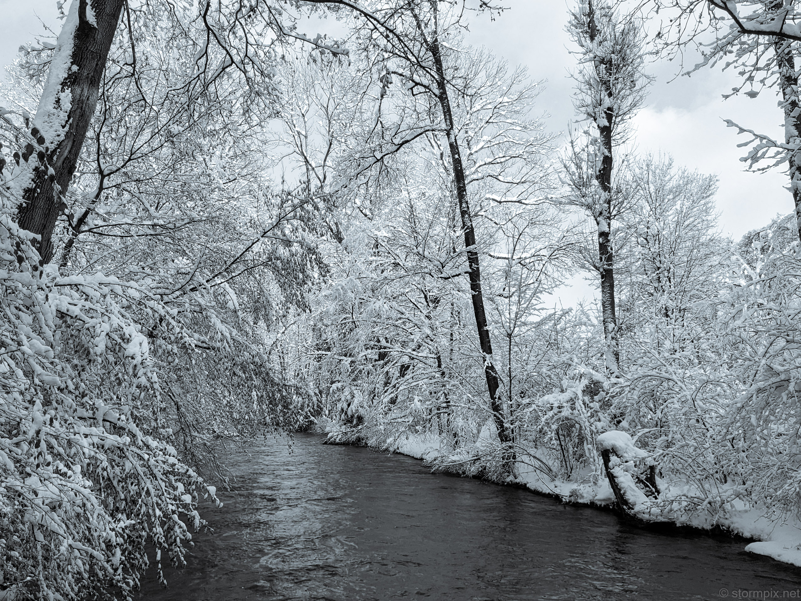 Pxl 20231203 125820312