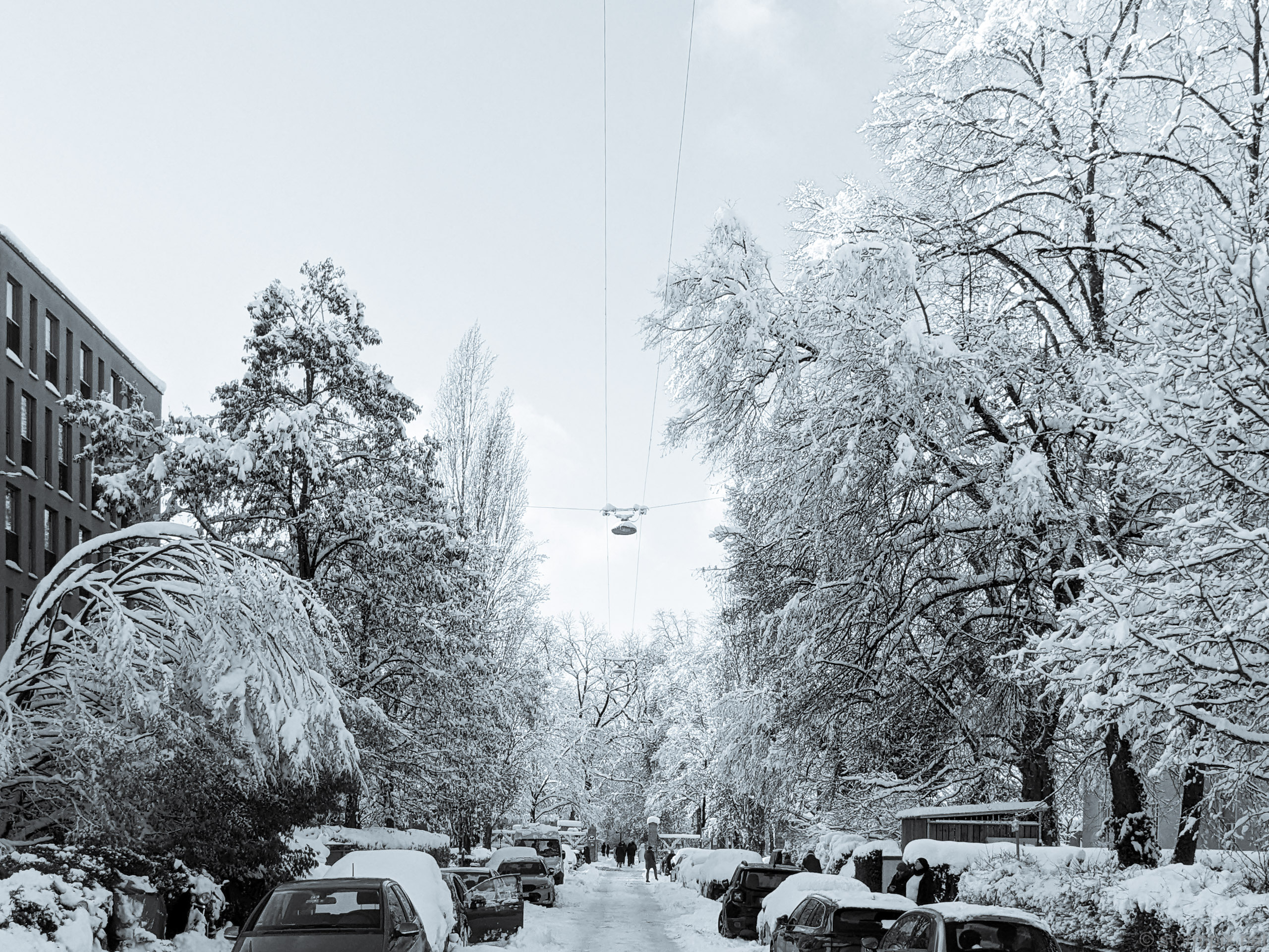 Pxl 20231203 132953689