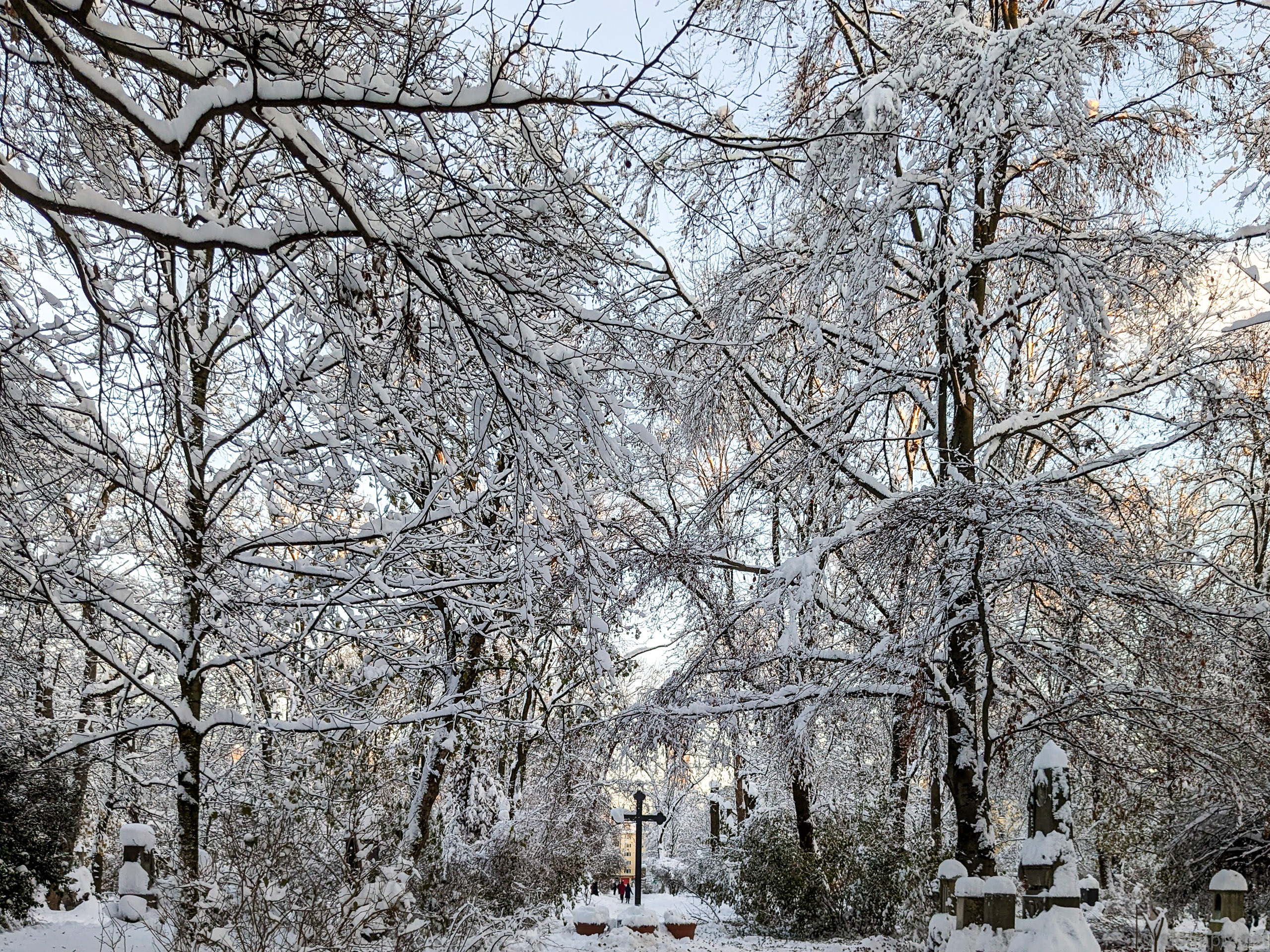 Pxl 20231203 145719060.mp